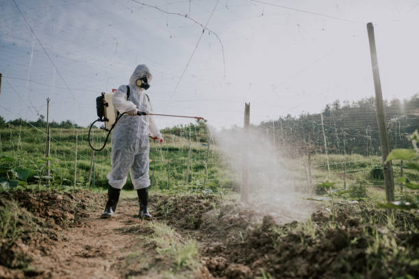 Best Commercial Pest Control Services  in Hanley Hills, MO
