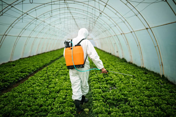 Best Pest Inspection Near Me  in Hanley Hills, MO
