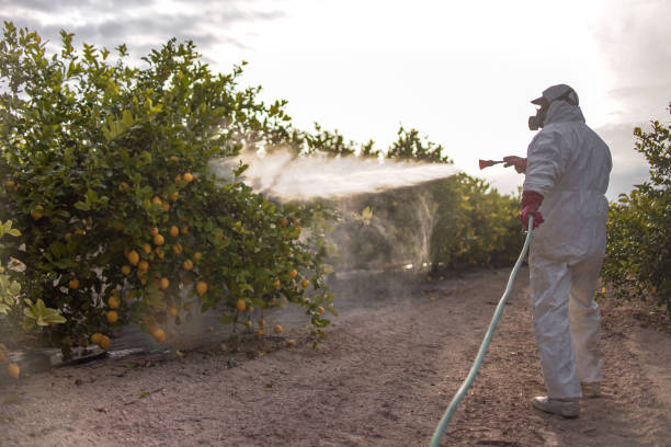 Best Best Pest Control Companies  in Hanley Hills, MO