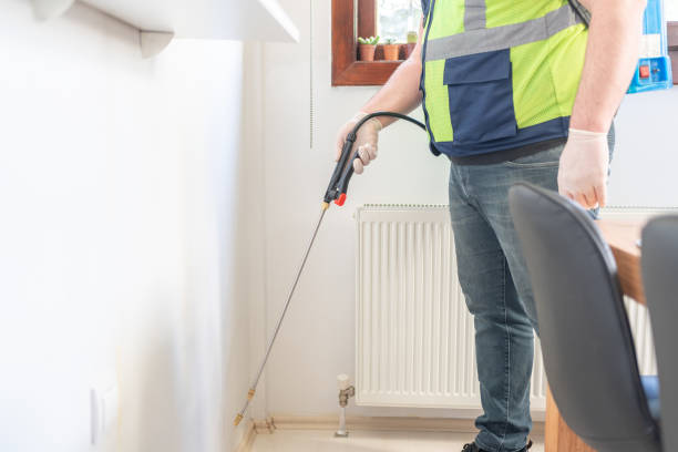 Best Local Pest Control Services  in Hanley Hills, MO