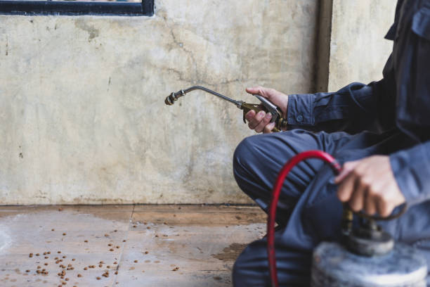 Pest Prevention Services in Hanley Hills, MO
