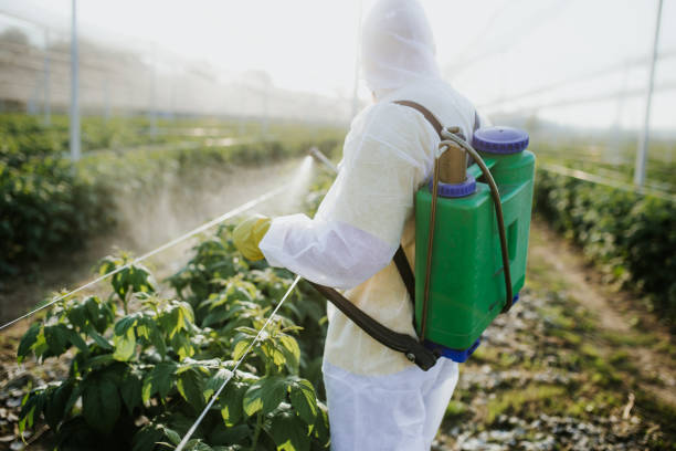 Best Pest Control Near Me  in Hanley Hills, MO